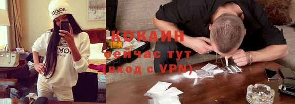 индика Аркадак