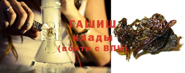 индика Аркадак
