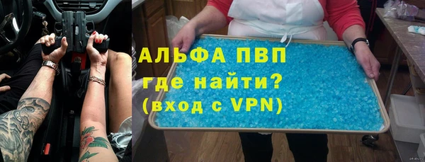 индика Аркадак