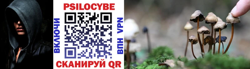 купить закладку  Терек  Галлюциногенные грибы ЛСД 