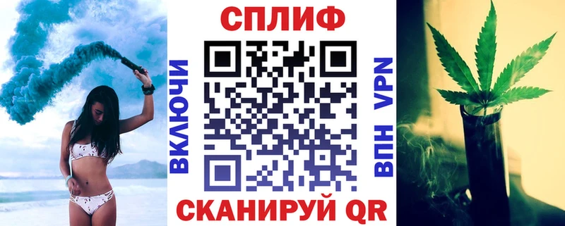 Конопля план Терек